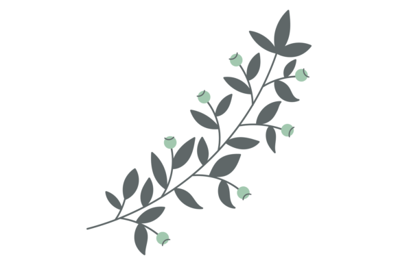 Botanical Design Element. Floral Elegant Illustration Review