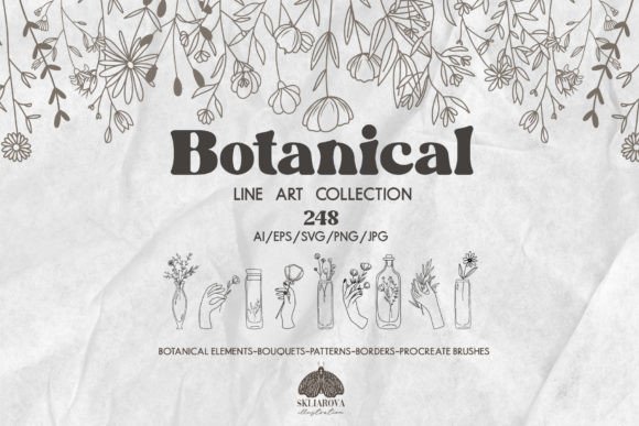 Botanical Line Art Collection: Graphics & Illustrations for Sellers