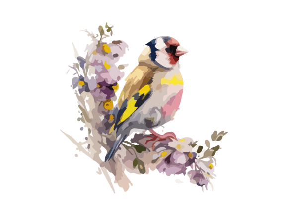 European Goldfinch Watercolor Bird SVG Graphics & Illustrations