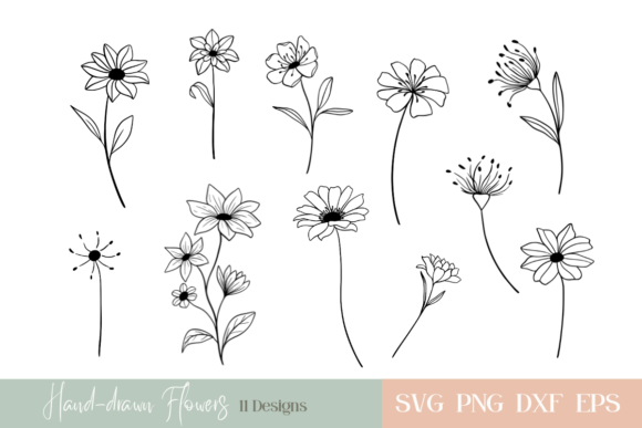 Hand-drawn Flowers Bundle: Minimalist Graphics & Illustrations