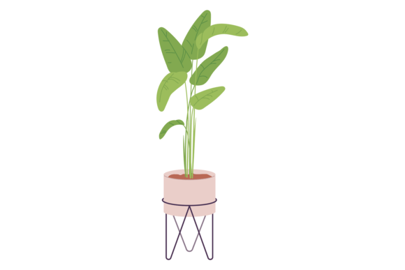 House Greenery Graphics: Potted Houseplant Illustrations
