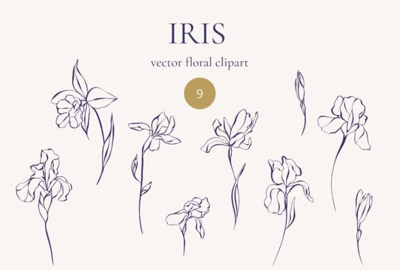 Iris Flowers: Vector Line Art Graphics & Illustrations