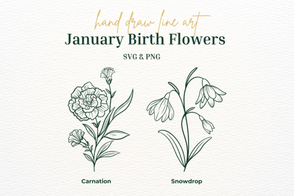 January Birth Flower SVG & PNG: Graphics for Elegant Illustrations