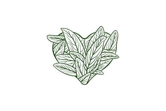 Love Leaf Illustration: Botanical Graphics & Illustrations