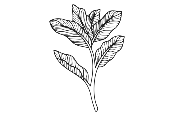 Luxury Floral Asian Line Art: Graphics & Illustrations