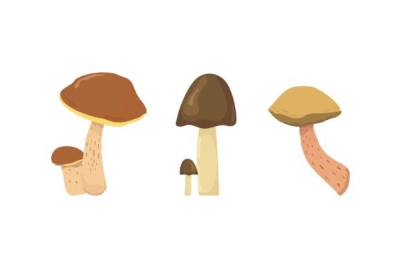 Mushroom Icon Floral Graphics & Illustrations Review