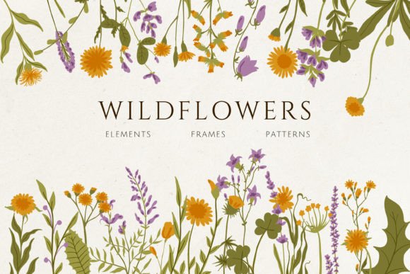 Wildflowers Collection: Graphics & Illustrations for Local Branding